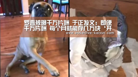 开云真人